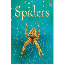  Spiders – Rebecca Gilpin idegen nyelvű könyv