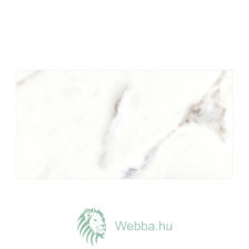  Splendor Cesarom Fürdőszoba/konyha csempe, márványutánzat, fényes, fehér, 25 x 50 cm csempe