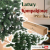 Springos Ct0192 prémium gyémánt fenyő 240 cm