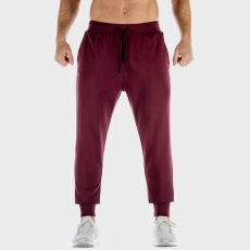 SQUATWOLF Men‘s Lab 360 Joggers Tawny Port