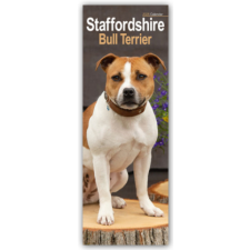 Staffordshire Bullterrier - Staffies 2025 naptár, kalendárium