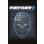 Starbreeze Publishing AB PAYDAY 2 (Troll Mask DLC) (digitális licenc)