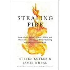  Stealing Fire – Steven Kotler,Jamie Wheal idegen nyelvű könyv