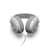 SteelSeries Arctis Nova 1P
