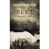 Stefan Malmström - Szekta - A tragikus valóság