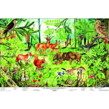 Stiefel Az erdő életközössége grafika, keretezett kép