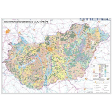 Stiefel Magyarország talajtani térképe fémléces 100 x 70 cm térkép