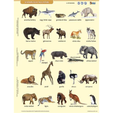 Stiefel "Vadon élő állatok" A4 Tanulói munkalap (27588) gyermek- és ifjúsági könyv