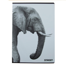 Street Füzet kockás street a/4 54 lapos safari 65881 füzet