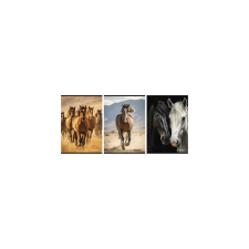 Street Füzet vonalas STREET A/4 54 lapos Horses margóval füzet