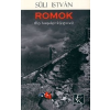 Süli István Romok