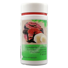 Sun moon cseppkő, shiitake, ganoderma gomba kivonat kapszula 60db vitamin és táplálékkiegészítő