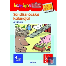 Sündisznócska kalandjai gyermek- és ifjúsági könyv