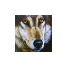 SunsOut 1000 db-os puzzle - Wolf Face - Jurek (58644) puzzle, kirakós