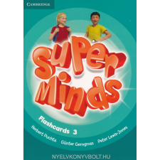  SUPER MINDS 3 FLASHCARDS nyelvkönyv, szótár