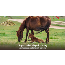 Super pellet alaptakarmány vemhes és szoptató kancák számára 20 kg lófelszerelés