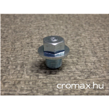 SWAG olaj leeresztő csavar 20,5mm,ezüst,acél,tömítőgyűrű nélkül autóalkatrész