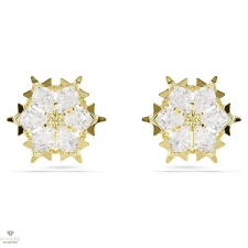 Swarovski Magic fülbevaló - 5757816 fülbevaló
