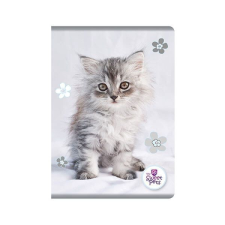  Sweet Pets cicás kockás füzet - A5 80 lapos - fehér füzet