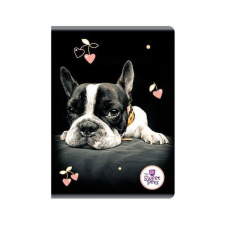  Sweet Pets kutyás kockás füzet - A5 80 lapos - Boston terrier füzet