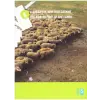 Szabadtéri Néprajzi múzeum A bárányok nem hallgatnak (A juhtartás és a pásztorélet európai öröksége) - kiállítási katalógus