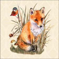  Szalvéta – Fox papírárú, csomagoló és tárolóeszköz