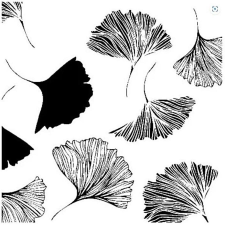 Szalvéta - gingko papírárú, csomagoló és tárolóeszköz