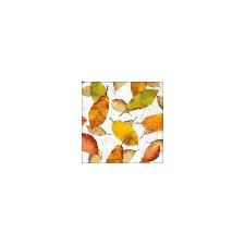 Szalvéta Golden autumn papírárú, csomagoló és tárolóeszköz