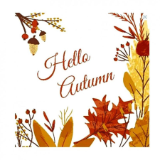  Szalvéta - Hello Autumn papírárú, csomagoló és tárolóeszköz