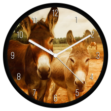  Szamarak falióra falióra