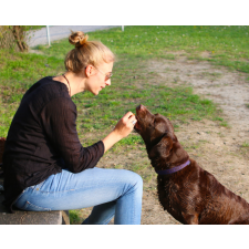 Számfestő A jutalom - vászonkép grafika, keretezett kép