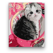 Számfestő Aranyos Kiscica a Tálban - akciós számfestő készlet (20x30cm) kreatív és készségfejlesztő