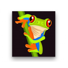 Számfestő Béka - gyerek számfestő készlet kreatív és készségfejlesztő