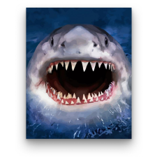 Számfestő Cápa fogai - számfestő készlet kreatív és készségfejlesztő