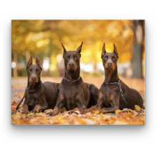 Számfestő Dobermannok - számfestő készlet kreatív és készségfejlesztő