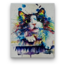 Számfestő Festékes cica - előszínezett számfestő készlet (50x65cm) kreatív és készségfejlesztő