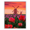 Számfestő Hollandia - számfestő készlet