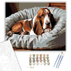 Számfestő.hu Alvó Basset Hound Kényelmes Ágyon - számfestő készlet – 80×100 cm (Keret nélkül)