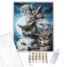 Számfestő.hu Bagoly banda - számfestő készlet – 40×50 cm (Keretre feszítve) kreatív és készségfejlesztő