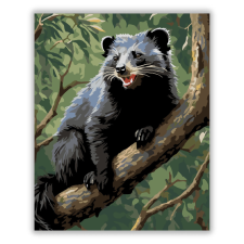 Számfestő.hu Binturong a Dzsungelben - számfestő készlet kreatív és készségfejlesztő