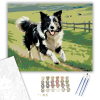 Számfestő.hu Border Collie a Zöld Legelőn - számfestő készlet – 40×50 cm (Keretre feszítve)
