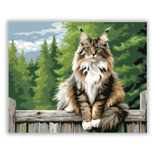 Számfestő.hu Büszke Maine Coon a Kerítésen - számfestő készlet kreatív és készségfejlesztő