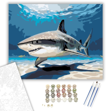 Számfestő.hu Cápa a Napos Tengerfenéken - számfestő készlet – 40×50 cm (Keretre feszítve) kreatív és készségfejlesztő
