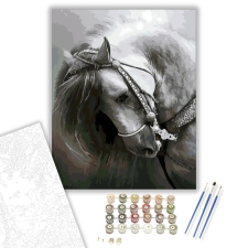 Számfestő.hu Fáradt paripa - számfestő készlet – 40×50 cm (Keretre feszítve) kreatív és készségfejlesztő