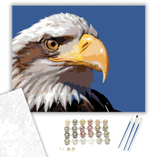 Számfestő.hu Fehérfejű Rétisas Közelről - számfestő készlet – 40×50 cm (Keretre feszítve) kreatív és készségfejlesztő