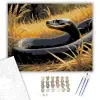 Számfestő.hu Fekete Mamba a Szavannán - számfestő készlet – 60×70 cm (Keretre feszítve)