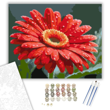 Számfestő.hu Harmatcseppes Vörös Gerbera - számfestő készlet – 40×50 cm (Keretre feszítve) kreatív és készségfejlesztő