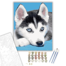 Számfestő.hu Husky kölyök - számfestő készlet – 60×70 cm (Keretre feszítve) kreatív és készségfejlesztő