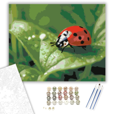 Számfestő.hu Katicabogár Tavaszi Levélen - számfestő készlet – 40×50 cm (Keretre feszítve) kreatív és készségfejlesztő