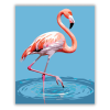 Számfestő.hu Kecses Flamingó a Sekély Vízben - számfestő készlet